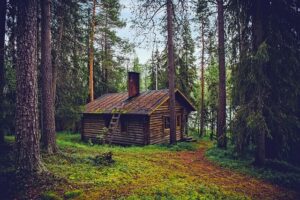 Expert Insights on Plumbing and Electrical Home Maintenance for Safe and Efficient Living