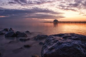 Navigating Trustworthy House Sitting: A Guide for Local Homeowners