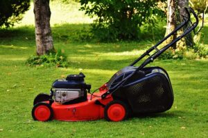 Elevate Your Outdoors: Expert Landscaping Tips for Eco-Conscious Lawn Care