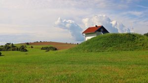 Maximize Your Lawn’s Potential with Expert Mowing Services for Personalized Landscaping