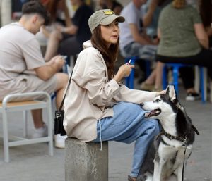 Optimizing In-Home Pet Care through Expert Dog Walking Services