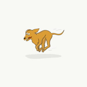 Stress-Free Pets: The Benefits of Professional Pet Sitting and Dog Walking Services