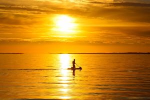Inflatable Paddle Board Selector: Best iSUPs for Every Paddler