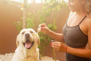 Decoding CBD Pain Relief Creams: A Comprehensive Guide for Effective Management and Selection