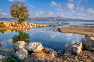 Navigating Delta-8 THC for Mood Support: A Local and Science-Based Guide