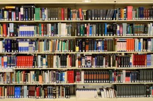 Personalized Learning Success: Tailoring Education with Local Tutoring
