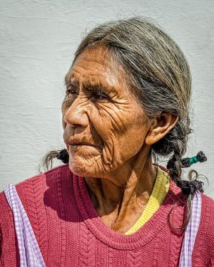 Optimizing Light Housekeeping for Elderly Clients with Elderly Companion Services