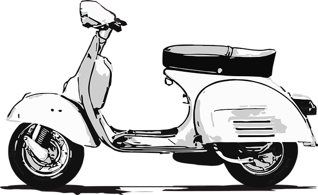 electric scooters for adults