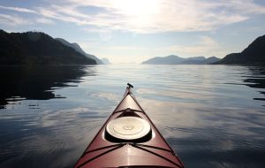 Fishing Kayak Adventures: Top Picks & Spots for Anglers