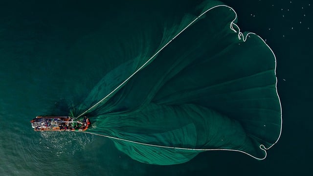 fishing kayak