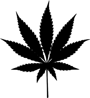 Decoding Full Spectrum Hemp Oil: A Deep Dive into Cannabinoid Profiles and Benefits