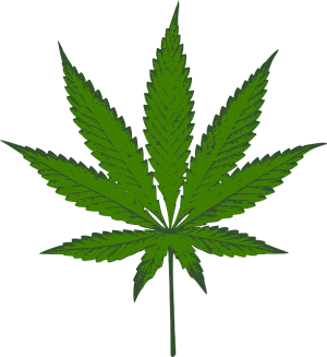 Decoding Full Spectrum Hemp Oil: Potency, Benefits, Legalities, and Usage Guides
