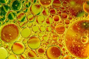 Embracing Wellness with Full Spectrum Hemp Oil: A Comprehensive Guide