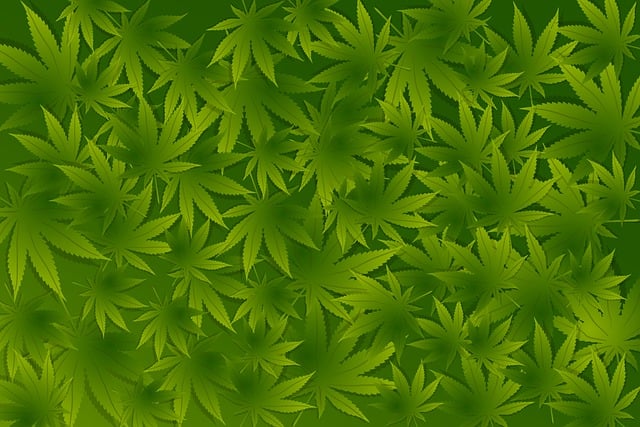 Full Spectrum Hemp Oil