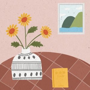 Optimizing Home Efficiency: A Guide to Window Replacement and Care