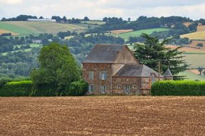 Secure Home and Pet Care with Reliable House Sitters: A Guide for Homeowners