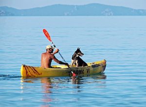 Optimizing Space and Safety: A Guide to Storage in Inflatable Kayaks for Two