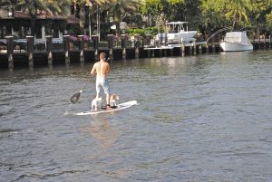 Mastering the Waves: A Guide to Selecting and Using Inflatable Paddle Boards for Optimal Water Sports Experiences