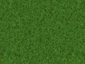Maximizing Curb Appeal with Professional Landscaping Solutions