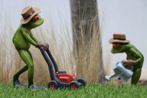 Crafting Functional Elegance: A Guide to Patio and Walkway Installation for Enhanced Lawn Care and Landscaping