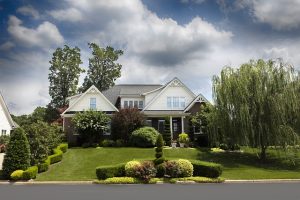 Transformative Landscaping: Elevating Curb Appeal with Expert Lawn Care Strategies