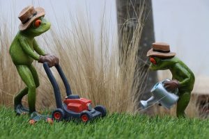10 Key Strategies for Thriving Lawns and Attractive Landscapes
