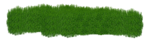 Optimizing Your Lawn: A Guide to Planning and Installing Efficient Irrigation Systems for Enhanced Landscaping