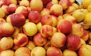 Local Food Delivery & Meal Prep: Boosting Family Nutrition