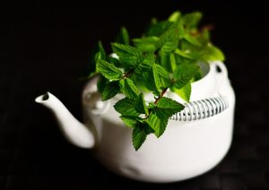 Elevate Daily Wellness with Mint Flavored CBD Tincture: A Comprehensive Guide