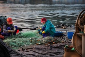 Exploring Premier Fishing Kayak Destinations for Avid Anglers