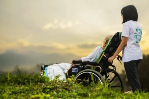 Elevate Your Outdoor Space: Expert Tips on Lawn Care and Landscaping for Vibrant Gardens