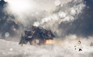 Practical Guide to Trusted House Sitting Services for Global Travelers