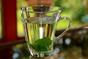 Maximizing Quick Absorption with Mint-Flavored CBD Tincture