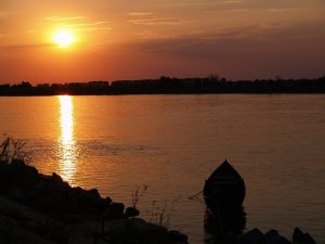 Exploring the Appetite-Enhancing Benefits of Delta-8 THC Locally