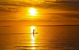 Discovering Fun and Balance with the Best Inflatable Paddle Boards for Beginners and Kids