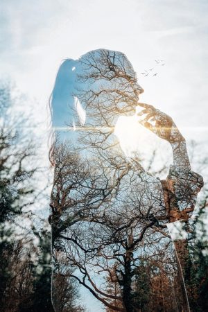 Enhancing Mental Wellness in the Golden Years with Elderly Companion Services