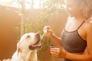 Pure CBD Isolate: The THC-Free Solution for Wellness and Health