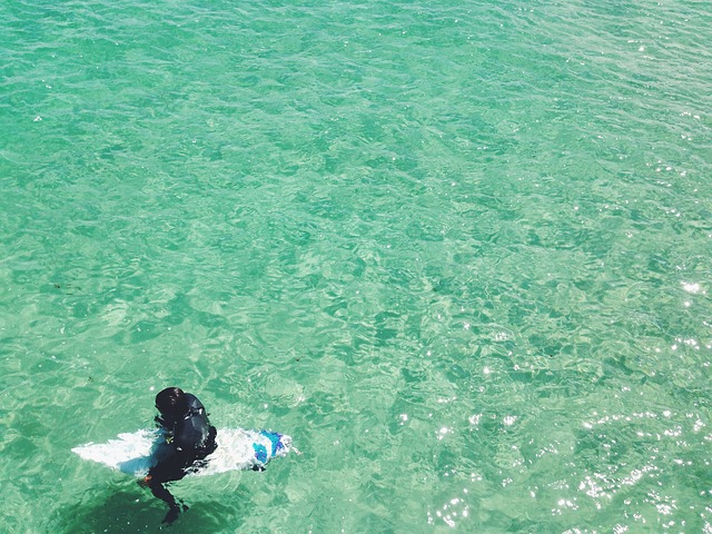 surfboard for beginners