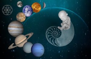 Deciphering the Endocannabinoid System: A Key to Mammalian Health and Therapeutic Opportunities