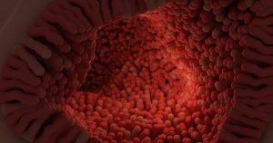 Decoding the Endocannabinoid System: Your Body’s Natural Balance Controller