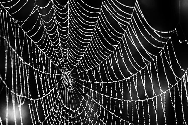 Affordable web design