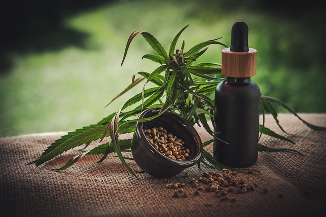 Best CBD Edibles