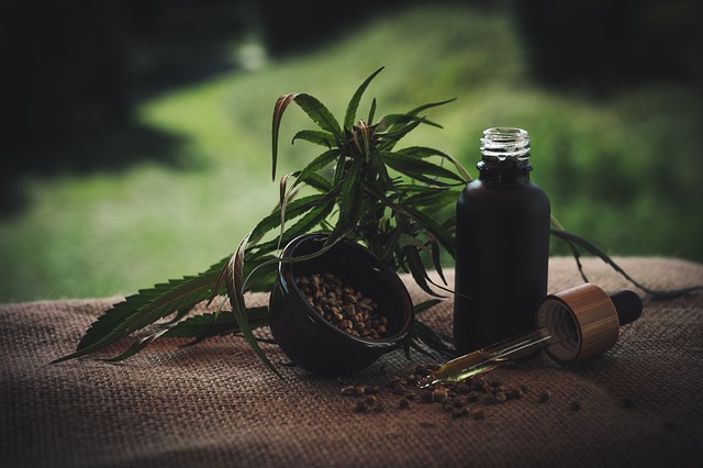 Best CBD Edibles