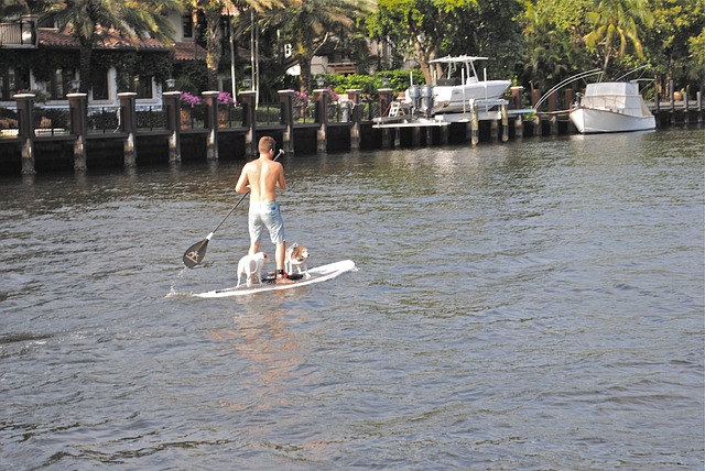 best inflatable paddle board