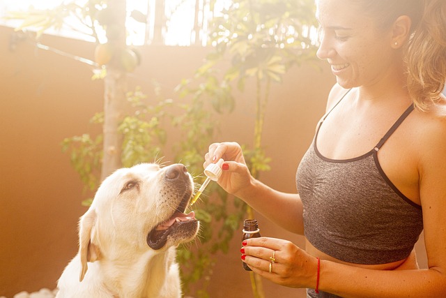 CBD Pain Relief Cream