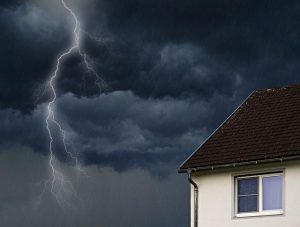 Customized Insurance Solutions: Empowering Small Businesses with Tailored Protection