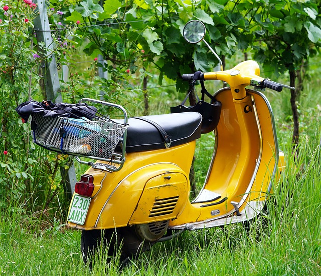 electric-scooters-for-adults-640x480-449237.jpeg