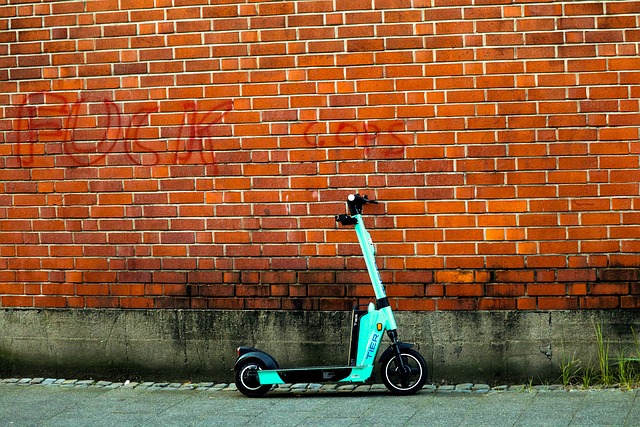 electric scooters for adults
