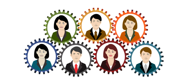 expert web design services