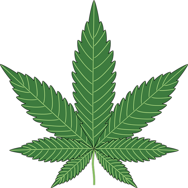 Full Spectrum Hemp Oil
